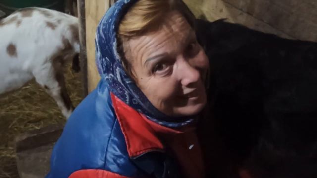 Гусь коту не товарищ!!! Гусь или гусыня, определяем пол. Домашний майонез не получился! Исправляем. смотреть онлайн