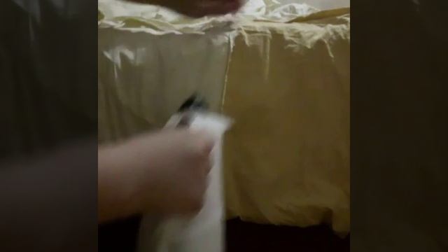 Ручной отпариватель - утюг