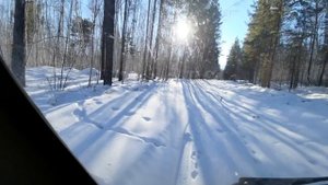 Охота на волка ОЧЕРЕДНАЯ ПРОВЕРКА КАПКАНОВ