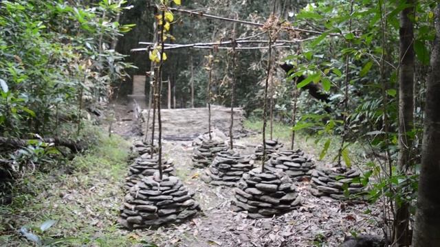 Primitive Technology Hut burned down built new one
