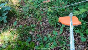 Покос Кустов Коса Штиль 2022 (Stihl FS-91)