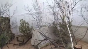 Музей «Истоки» МБОУ Калачеевская СОШ № 6, Воронежская область, г  Калач