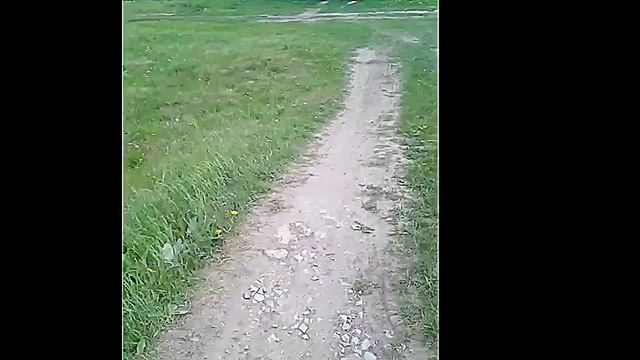 Хутор Соколовский Нехаевского района Красивая природа смотреть онлайн