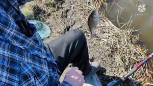 Весенний выезд на карася! Кутужеково и Сухое озеро