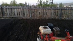 Мотоблок Агро. Заделка семян горчицы и редьки масличной на сидерат.