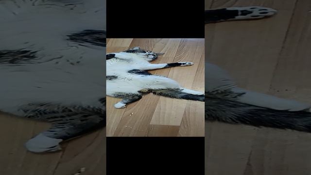 1000008668.mp4 смотреть онлайн