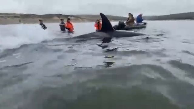 Хабаровский край,между Ванино и Токи,июнь смотреть онлайн