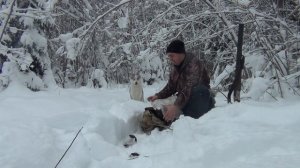 охота на белку и куницу 04.01.2022.