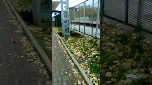 Мытищи, Станция Строитель(1)