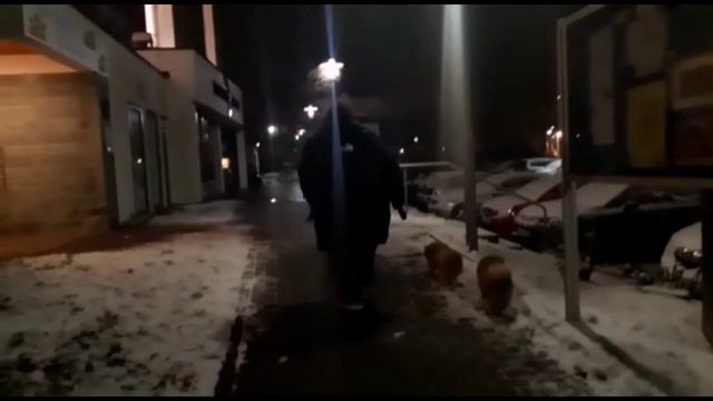 ДОБРЫЙ ЗИМНИЙ ВЕЧЕР ВСЕМ 17.01.21 смотреть онлайн