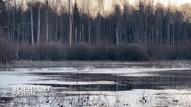 ОХОТА на СЕЛЕЗНЯ с подсадной уткой #3