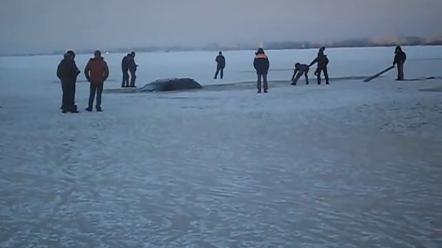 Машина тонет в озере Капа. смотреть онлайн