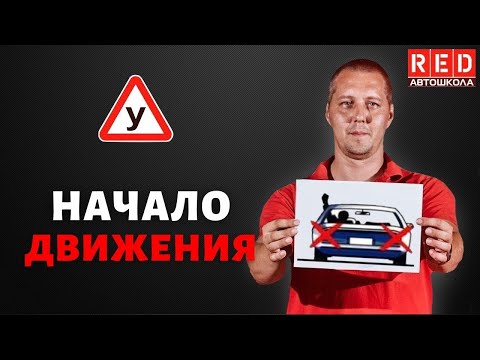 Автошкола на диване алевтина