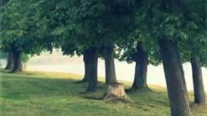 Александровск.mp4