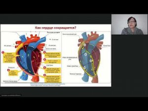 МПЗ и сопутствующие сердечно-сосудистые заболевания и гипертония. Онлайн-школа 09.01.2022.