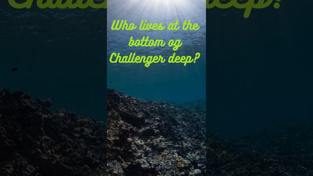 Interesting Facts about Challenger Deep (Mariana Trench)