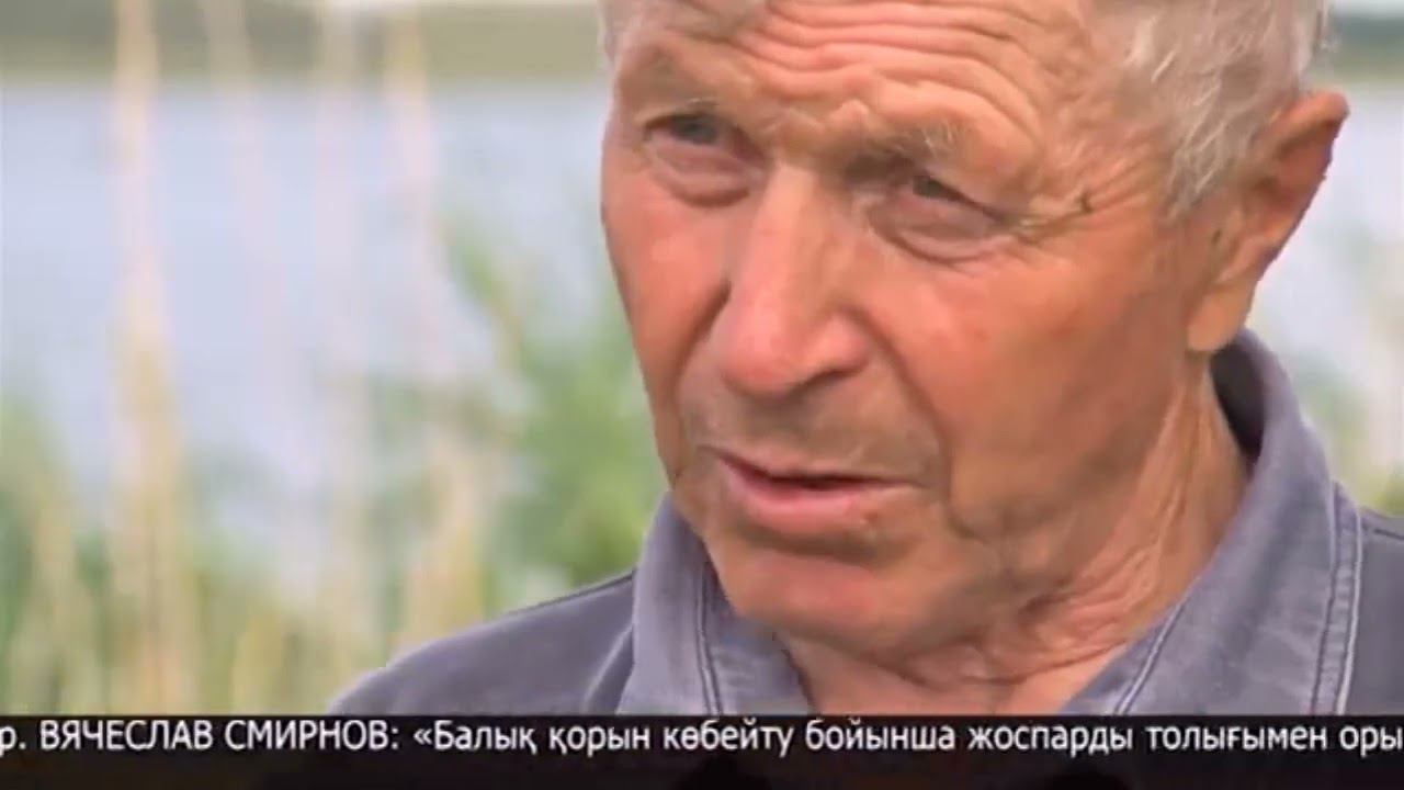 Озеро Камышное, очищенное с помощью хлореллы смотреть онлайн