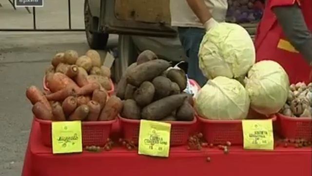 В Чебоксарах стартует традиционная ярмарка «Дары осени» смотреть онлайн