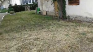 Крым  -  фрукты и ягоды! Гуляем по саду  -  16 мая 2019 года.