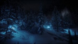 Ночной зимний лес с холодным ветром со снегом ASMR и звуки леса которые помогут вам уснуть