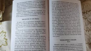 Л.Н.Толстой "Мильтон и Булька"