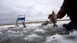 ЛОВЛЯ  КАРАСЯ ЗИМОЙ НА УДОЧКУ,зимняя рыбалка на карася