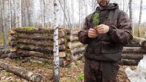 Иду Один на Балаган Строю Избу Бобровая Изба