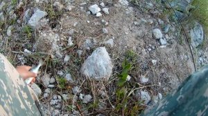 ТЕЙЛ СПИННЕР УБИЙЦА ОКУНЕЙ ОКУНИ ОТ НЕГО СХОДЯТ С УМА