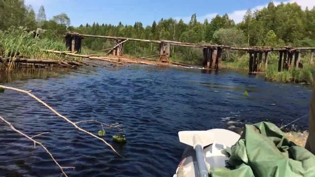 Рыбалка Река Ковжа 2018 Архангельская область смотреть онлайн