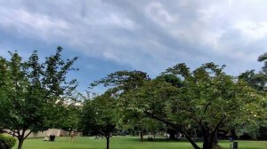 Джорджтаун: самый старый и дорогой район Вашингтона