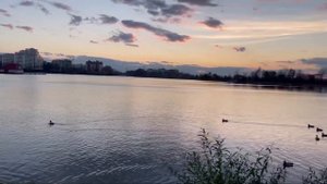 "Там журавлі летіли клином" - "Олена Білоконь" !💕