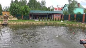Быстрая Лодка на пульте управления Устроили гонку на озере