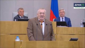 Платошкина мочит  Жириновский в ГД