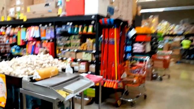 LIVING IN PUERTO MORELOS NEAR CANCUN MEXICO - A TALE OF TWO CITIES смотреть онлайн