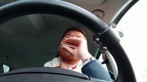 Смуглянка ♫ на губной гармошке