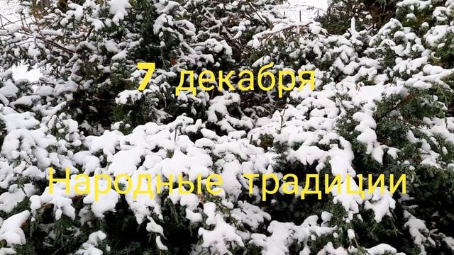 7 декабря. Народные традиции, приметы. Что можно делать. Что нельзя делать. День Екатерины.