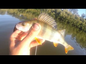 SUP-fishing - небольшая прогулка по уральской реке