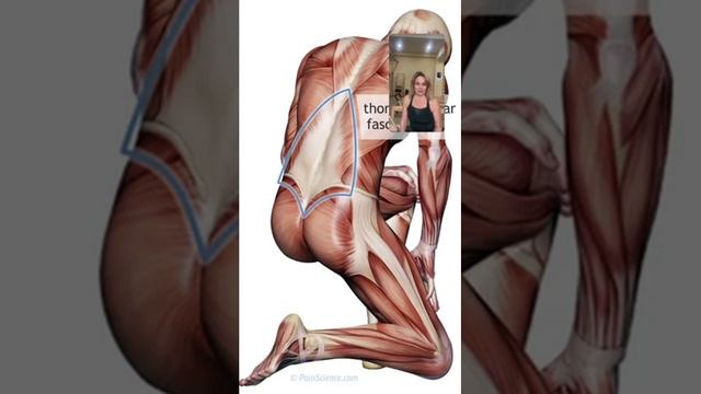За сколько тренировок можно понять что такое Пилатес?