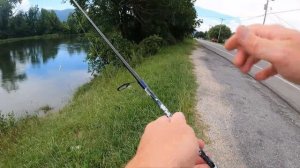 TROUT Love  Berkley Gulp Minnows ( WATAUGA RIVER )