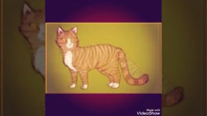 Какой ты кот воитель по знаку зодиака!