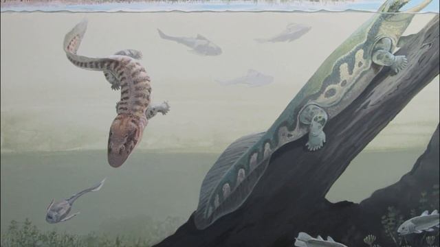 Появление первых тетрапод и их выход на сушу. смотреть онлайн