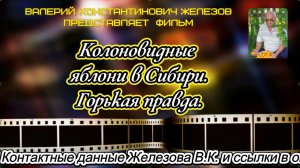 Железов В.К. Колоновидные яблони в Сибири. Горькая правда.