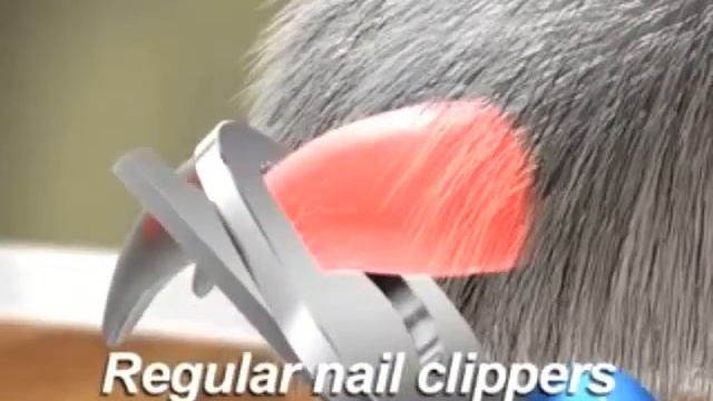 Pedi Paws смотреть онлайн