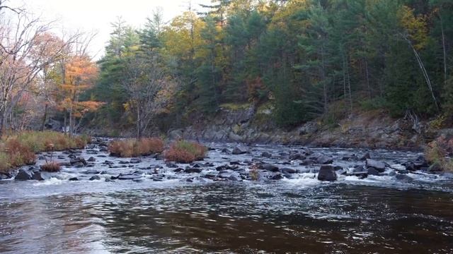 Camping In The Wild. Survival Tips! смотреть онлайн