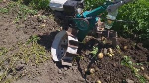 Картошка копатель своими руками