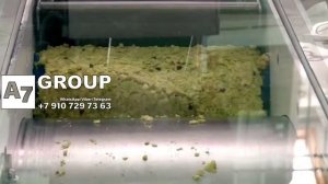 Пресс для прямого отжима 3000 кг/ч с двумя лентами