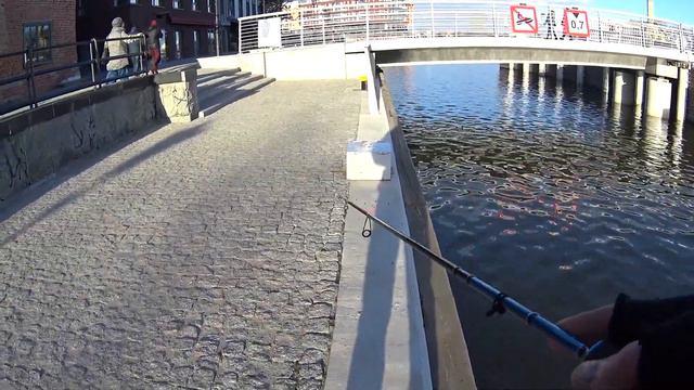 Кто клюет под затонувшим судном? Река Мотлава. Рыбалка в Польше. смотреть онлайн