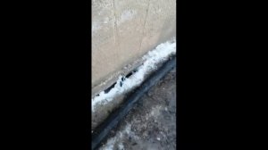 Как в частном доме отогреть замерзшую канализацию