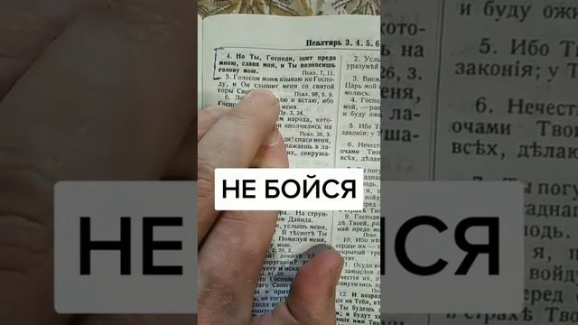 Библия на каждый день