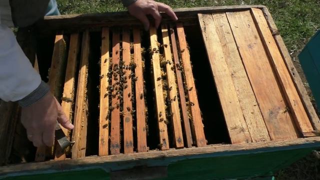 Весенние работы на пасеке. Пчелы начинающим.